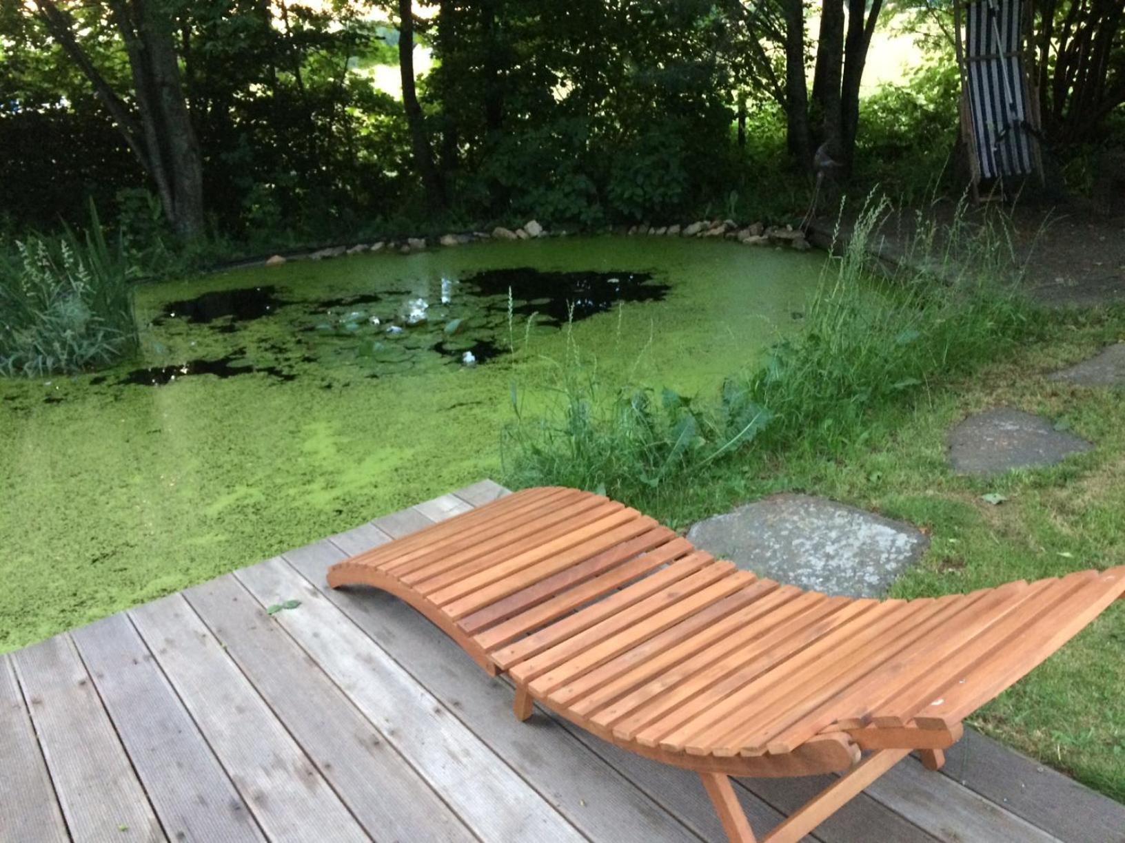 艺术爱好者之家住宿加早餐旅馆 Marmagen 外观 照片