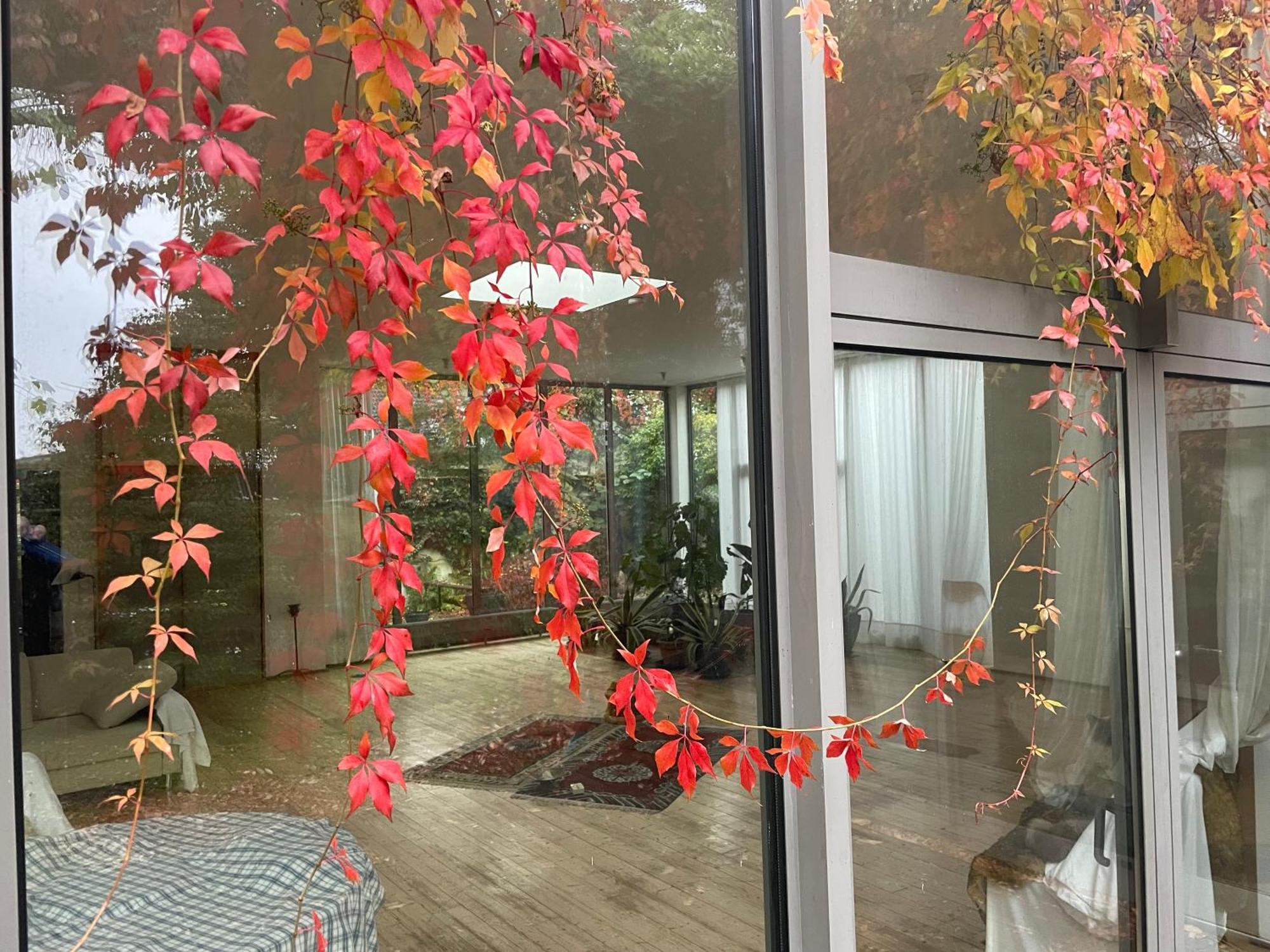 艺术爱好者之家住宿加早餐旅馆 Marmagen 外观 照片